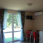 Daskalov