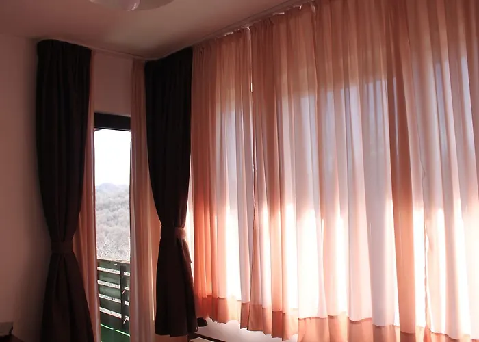 达斯卡洛夫旅馆